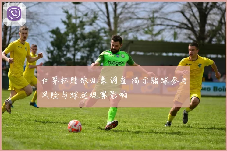 世界杯赌球乱象调查 揭示赌球参与风险与球迷观赛影响