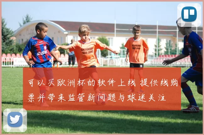 可以买欧洲杯的软件上线 提供线购票并带来监管新问题与球迷关注