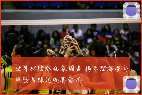 世界杯赌球乱象调查 揭示赌球参与风险与球迷观赛影响