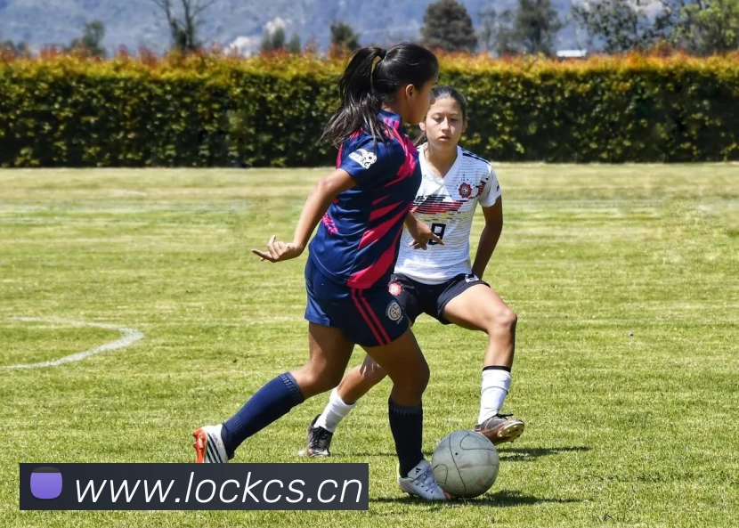 EMC易倍(中国)官方网站 - 专业体育文旅服务商APP 封面图